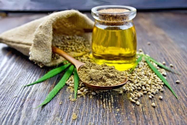 Olio di canapa benefici e controindicazioni Vivo di Benessere