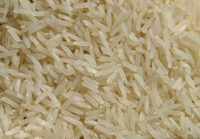 riso basmati riso basmati
