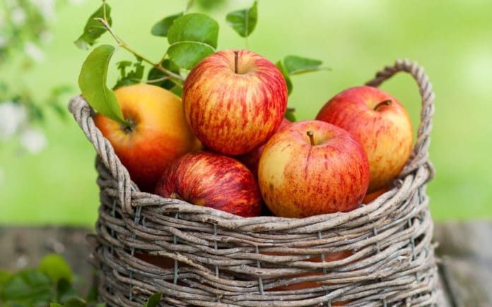 mele usi e ricette cucina