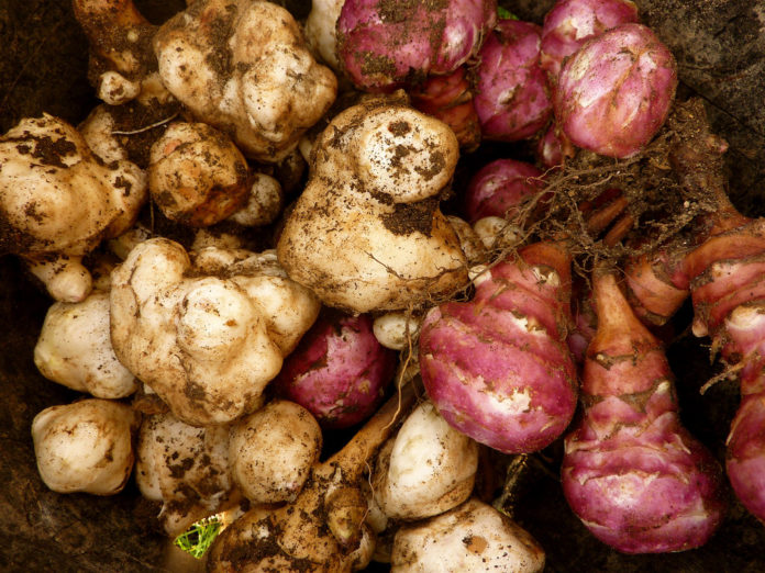 tuberi-cucina-povera-dieta tuberi-cucina-povera-dieta