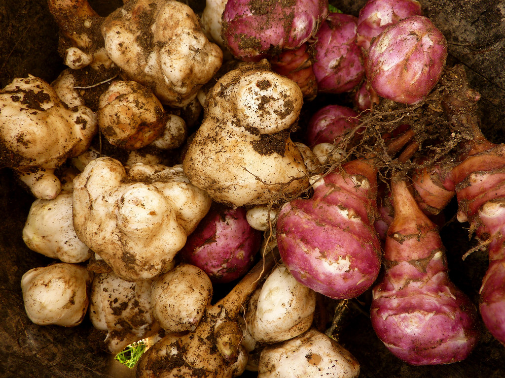 tuberi-cucina-povera-dieta
