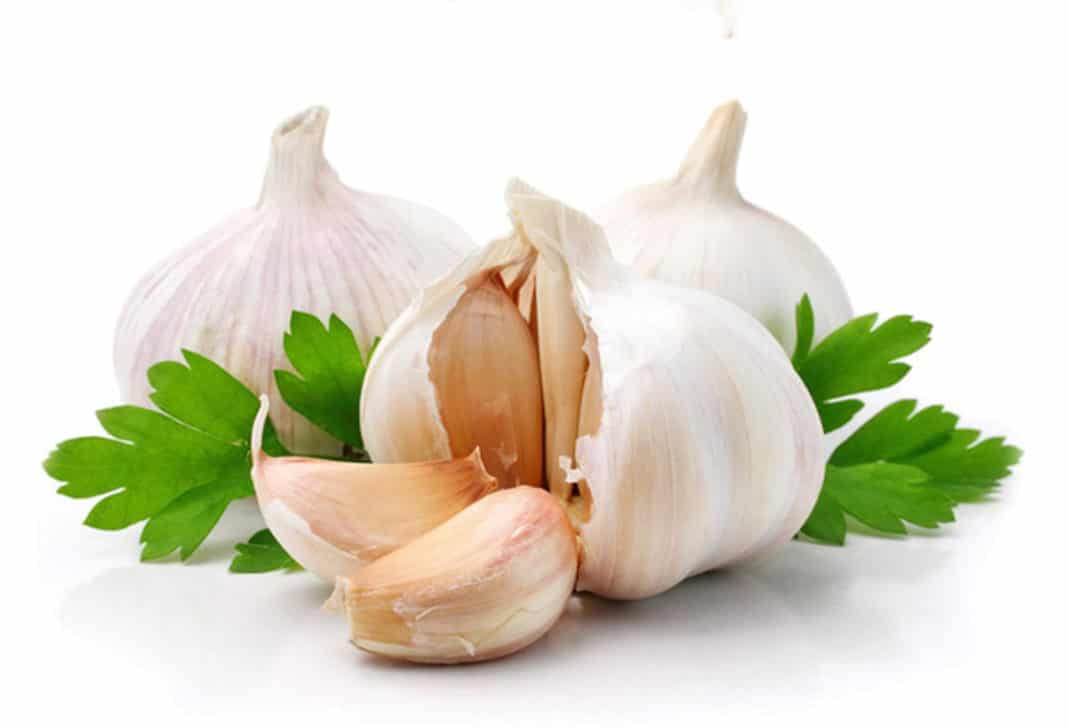 aglio