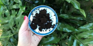 fondi-caffe-giardino