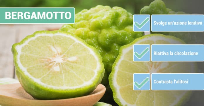 benefici-BERGAMOTTO benefici-BERGAMOTTO