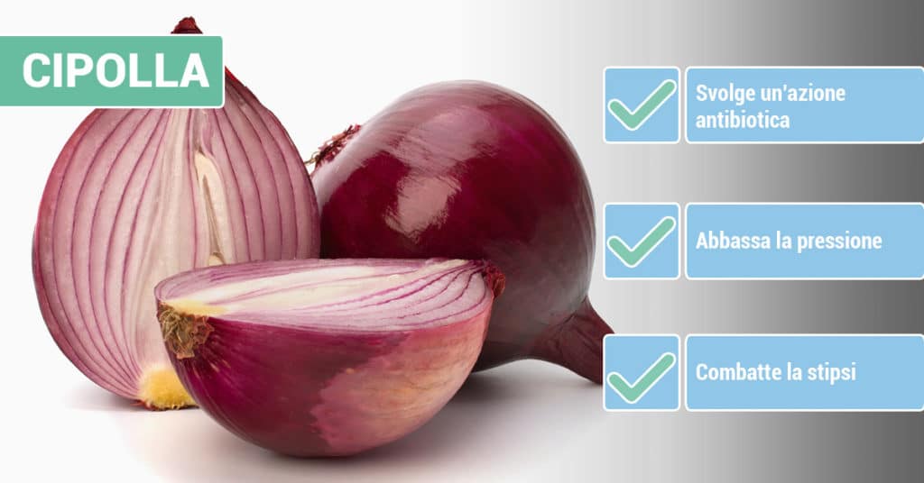 La Cipolla Fa Bene Proprieta E Benefici Per Salute E Benessere
