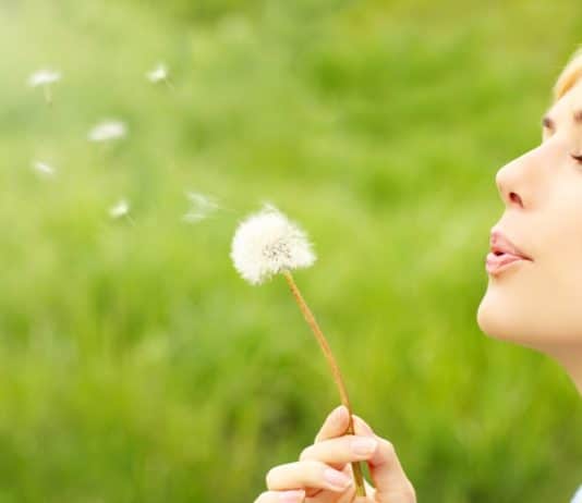 antistaminici naturali