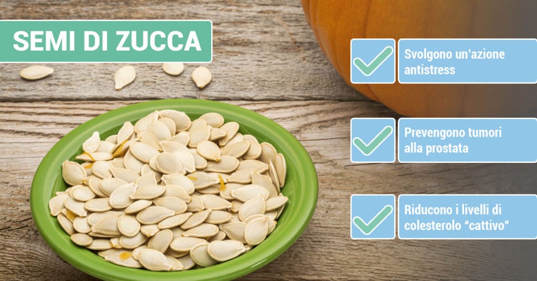 benefici-SEMI-DI-ZUCCA