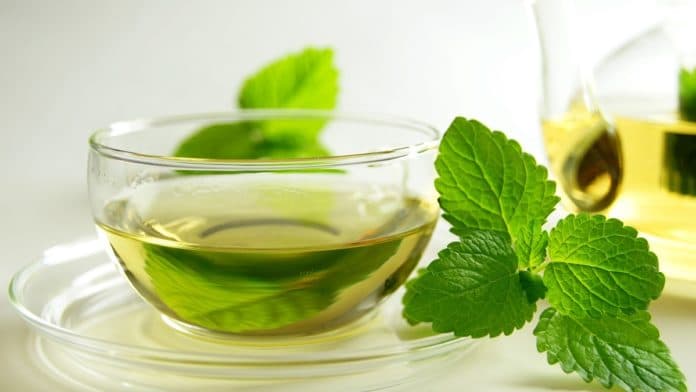 tisana alla menta tisana alla menta
