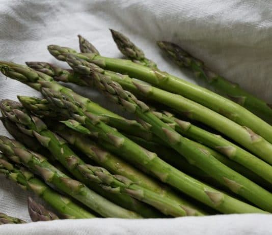 asparagi
