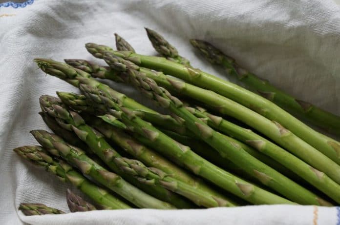 asparagi asparagi