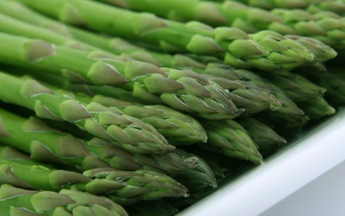 asparagi ricette asparagi ricette