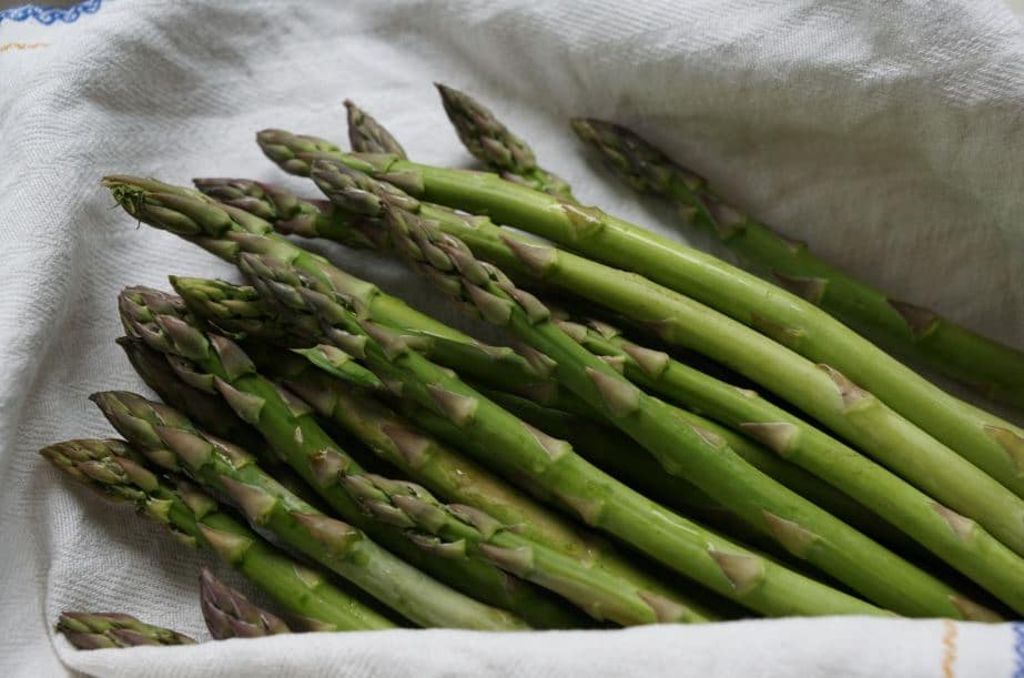 asparagi