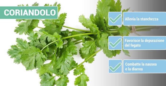 benefici-CORIANDOLO benefici-CORIANDOLO