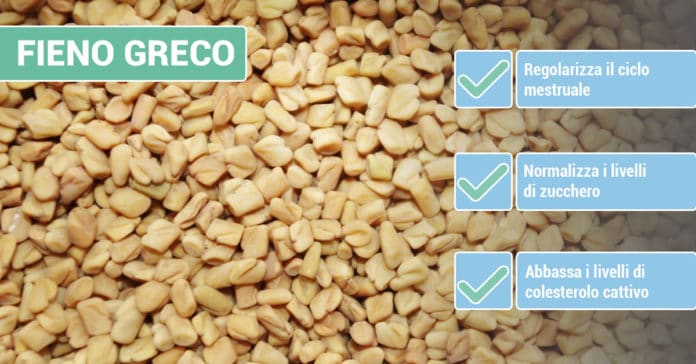 benefici-FIENO-GRECO benefici-FIENO-GRECO