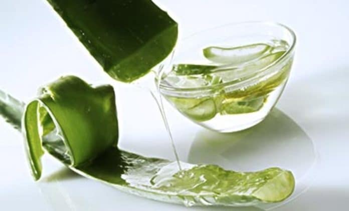 gel aloe vera fai da te