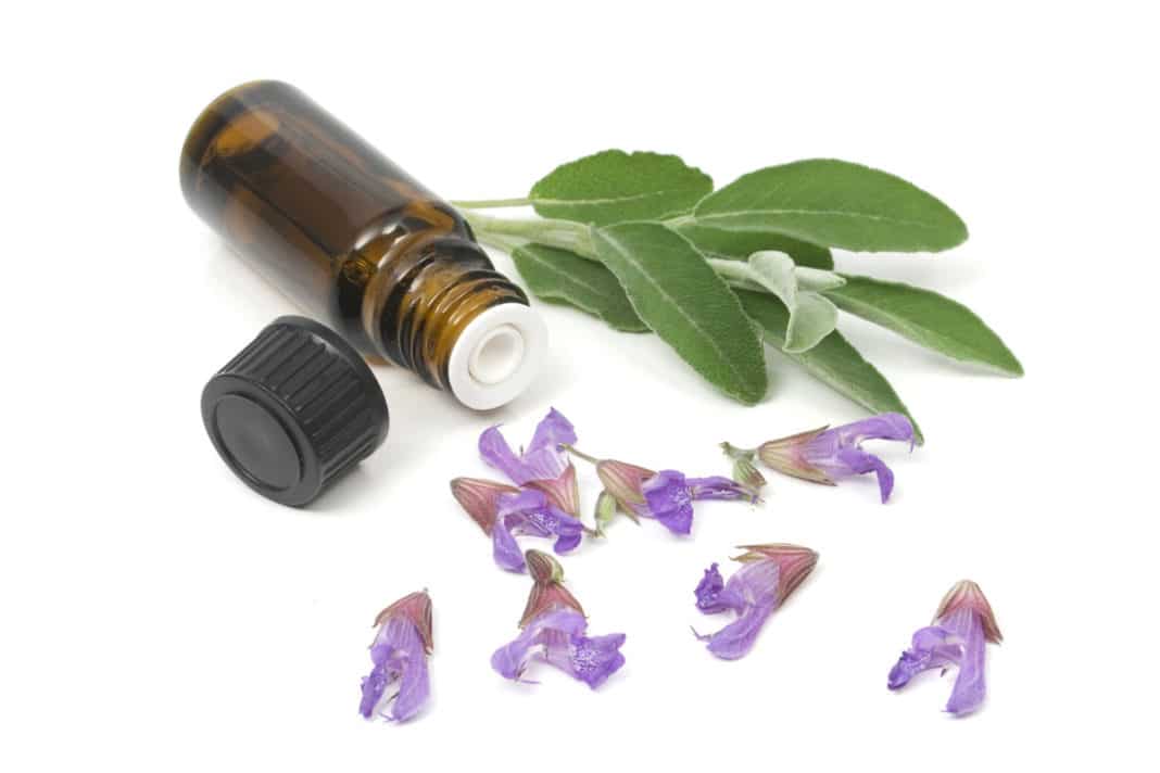 olio di salvia