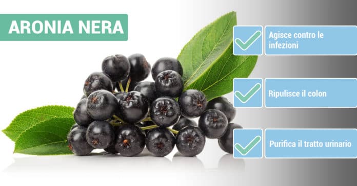 benefici-ARONIA benefici-ARONIA