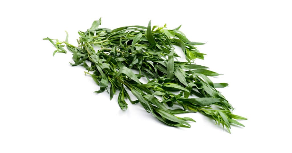 Galleria foto 'ERBE AROMATICHE bellissime sul balcone? E’ FACILE e puoi farlo anche tu!' - foto 7