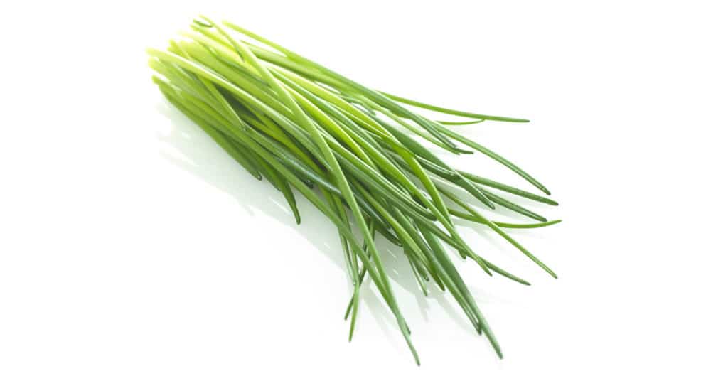 Galleria foto 'ERBE AROMATICHE bellissime sul balcone? E’ FACILE e puoi farlo anche tu!' - foto 9