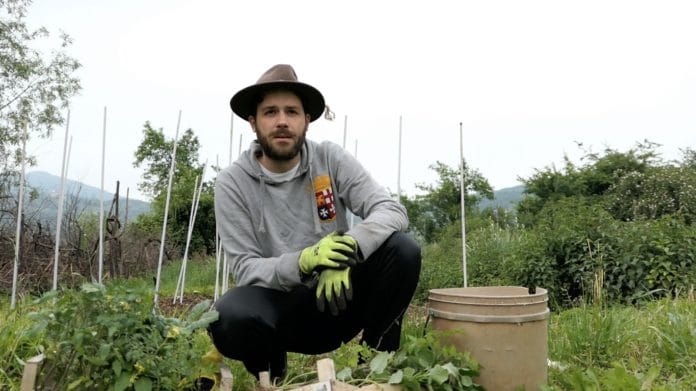 matt the farmer