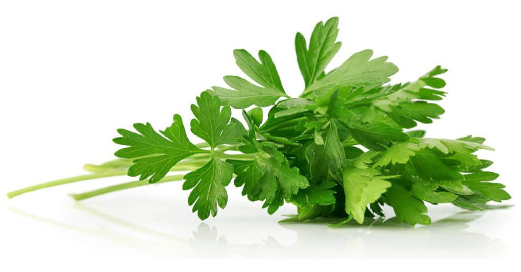 Galleria foto 'ERBE AROMATICHE bellissime sul balcone? E’ FACILE e puoi farlo anche tu!' - foto 10