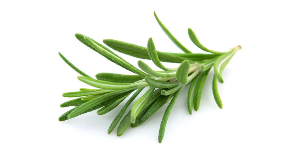 Galleria foto 'ERBE AROMATICHE bellissime sul balcone? E’ FACILE e puoi farlo anche tu!' - foto 11