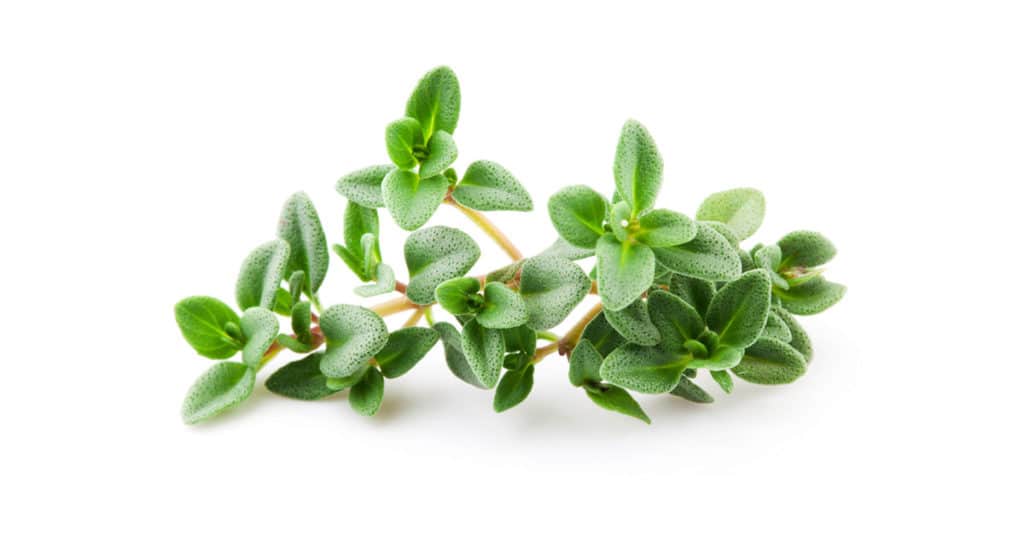 Galleria foto 'ERBE AROMATICHE bellissime sul balcone? E’ FACILE e puoi farlo anche tu!' - foto 6