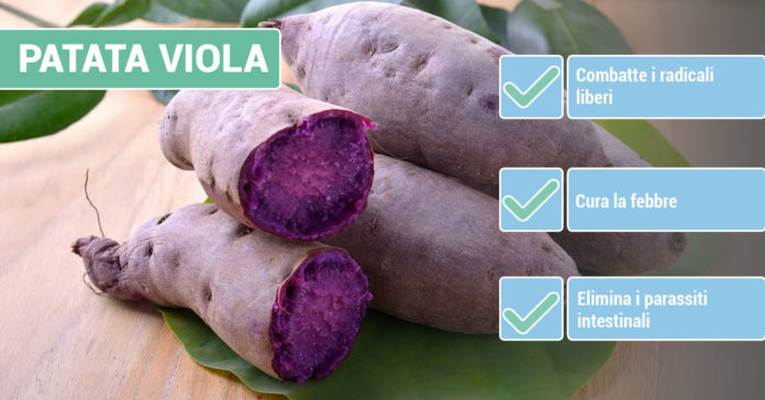 benefici-PATATA-VIOLA