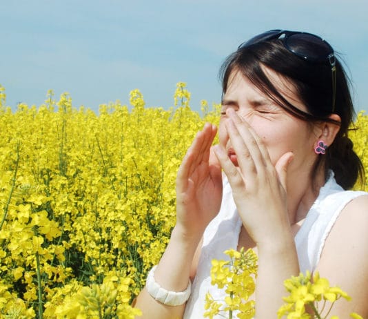 oli essenziali per trattare le allergie