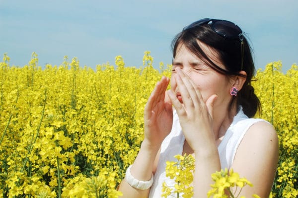 oli essenziali per trattare le allergie