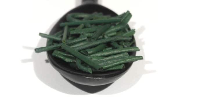 spirulina spirulina