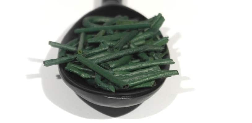 spirulina