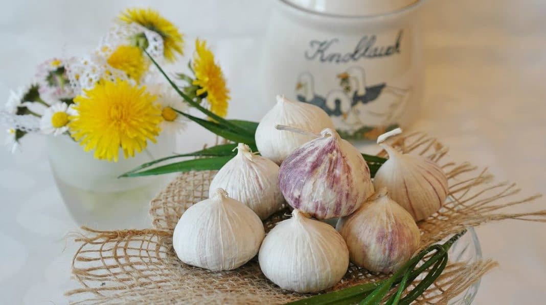 maschera capelli aglio