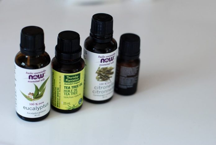 olio essenziale di eucalipto