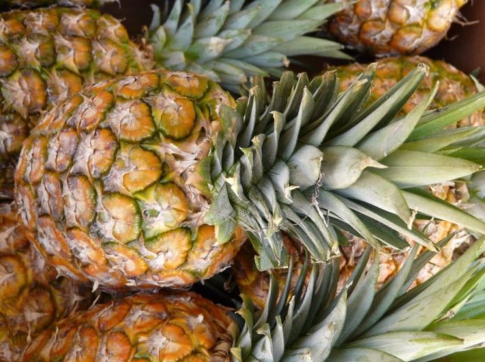 ananas ananas