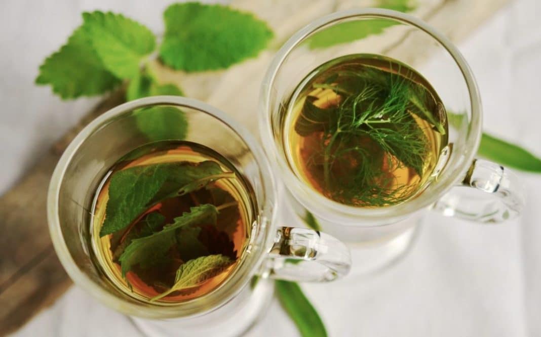 tisana anti influenzale
