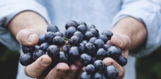 olio di vinaccioli