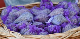 lavanda