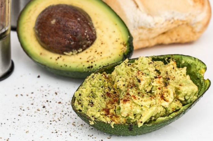 avocado ricette avocado ricette