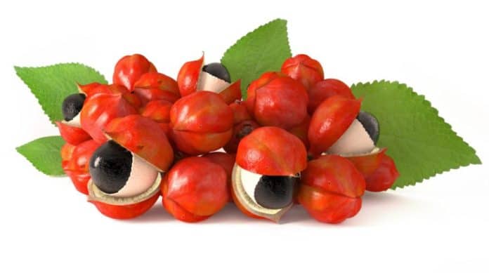 guarana guarana
