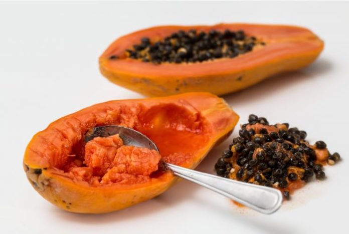 papaya fermentata papaya fermentata