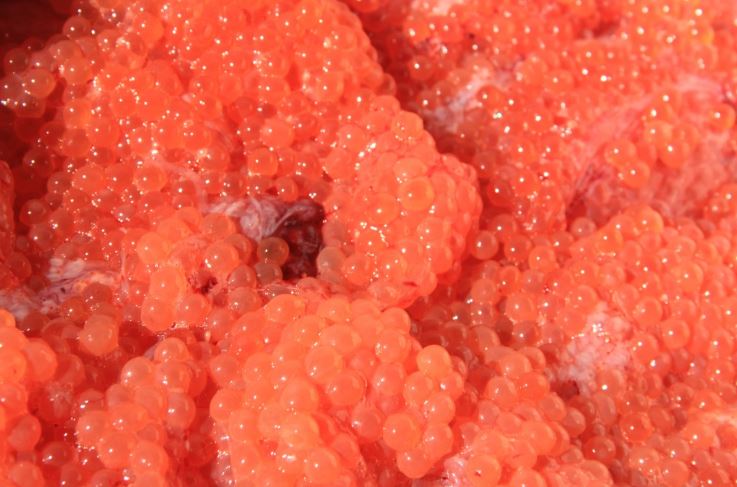 crema viso caviale