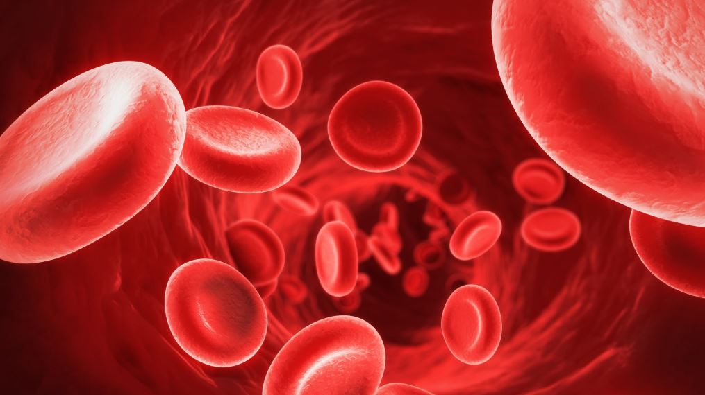 emoglobina analisi del sangue