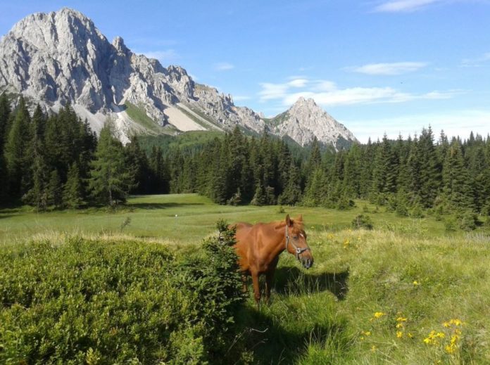 terme friuli