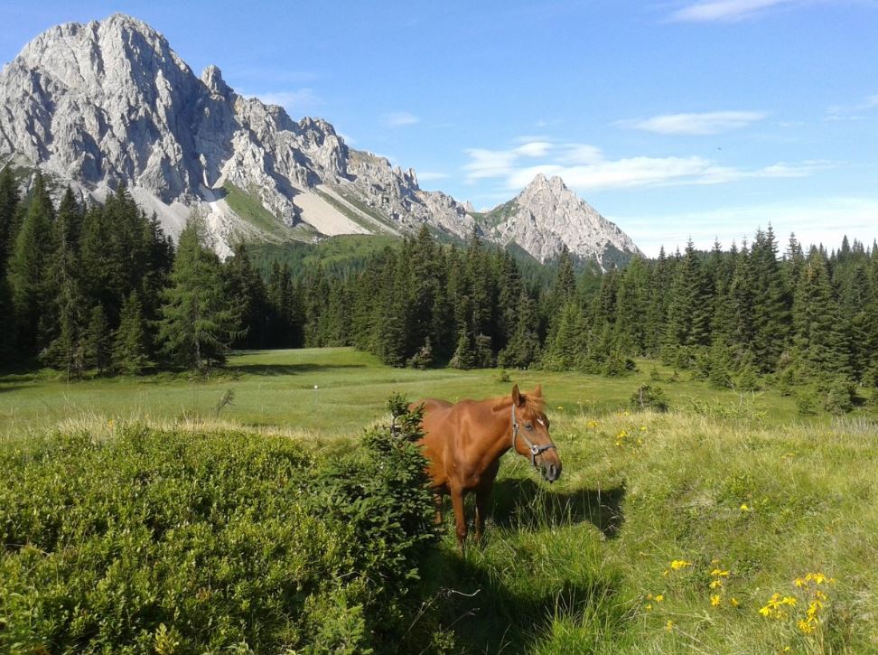 terme friuli