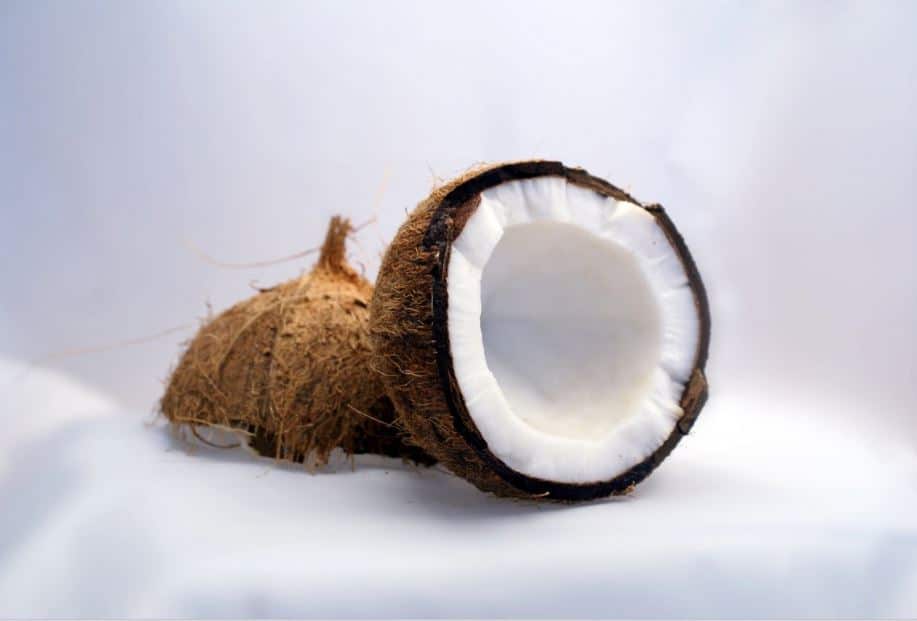 zucchero di cocco