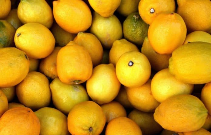 limoni limoni
