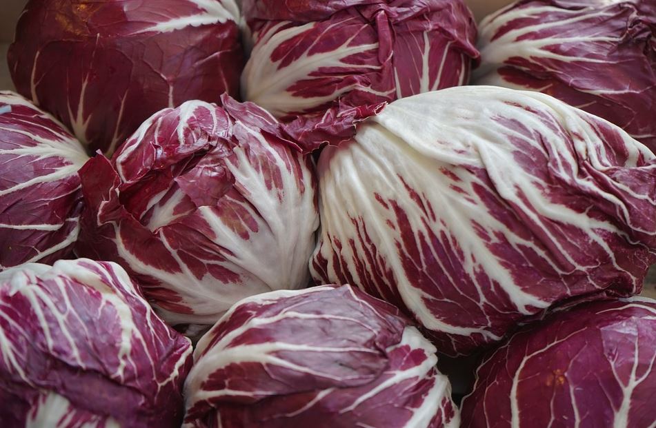 radicchio