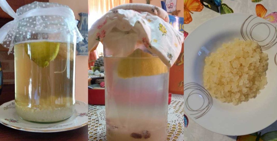 kefir-acqua-foto