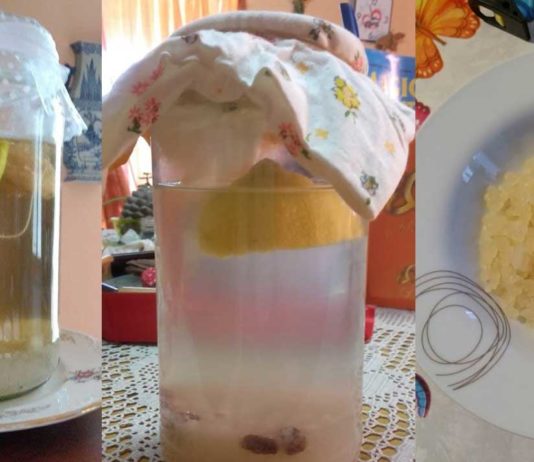 kefir-acqua-foto